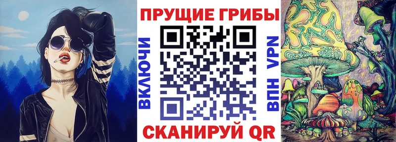 Псилоцибиновые грибы Magic Shrooms  купить закладку  blacksprut вход  Подольск 